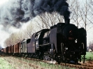 Parní lokomotiva 534.0307
